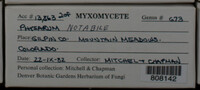 Image Associated With the Occurence
